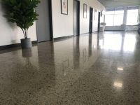 Exposed Concrete : CPD Construction Products